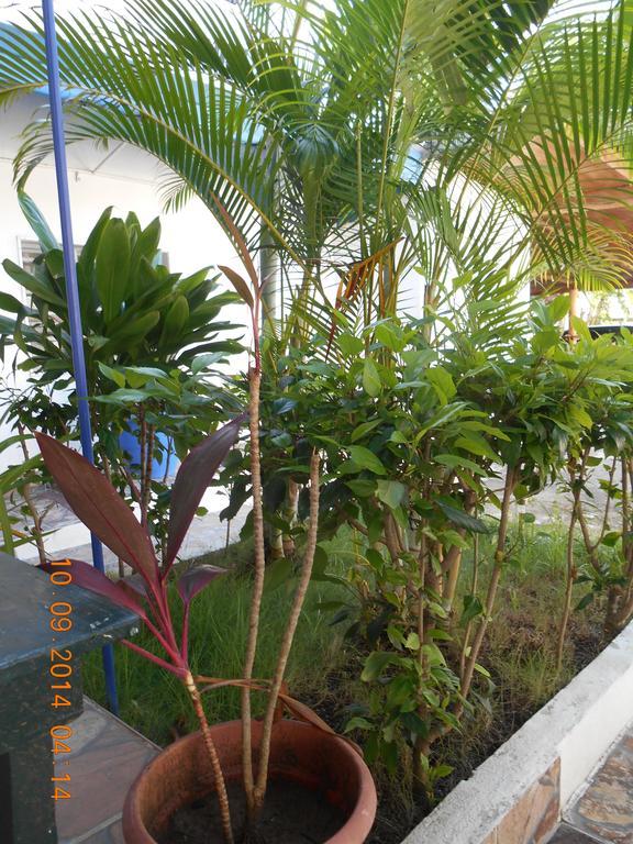 Lucy Rooms Juan Dolio Exterior photo